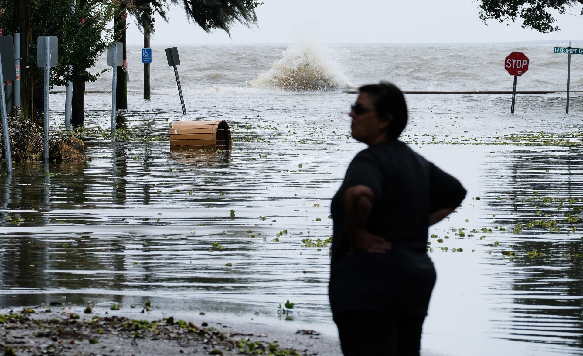 Weather Lab, Google's interactive website to help predict hurricanes