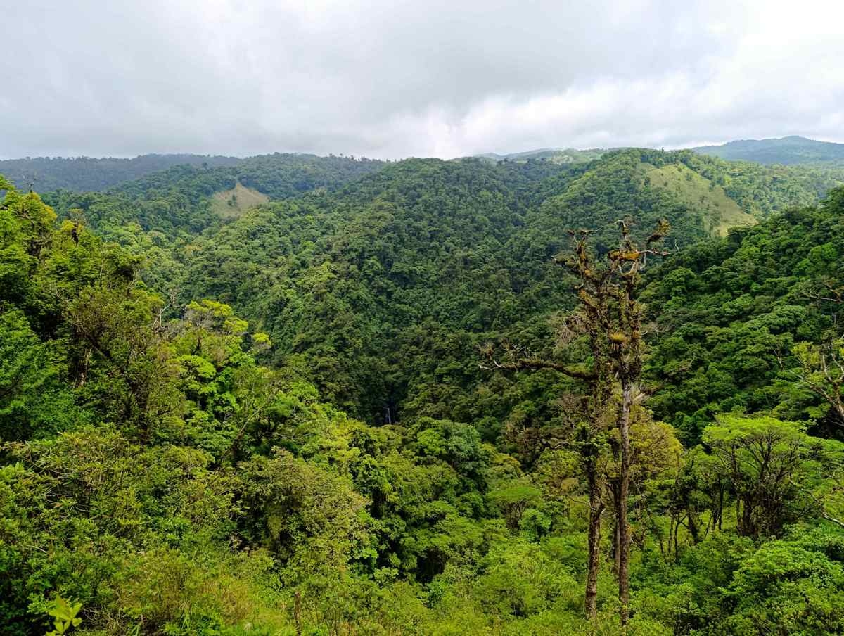 Le Costa Rica, un pays aux grandes richesses naturelles menacé par un discours anti-environnemental