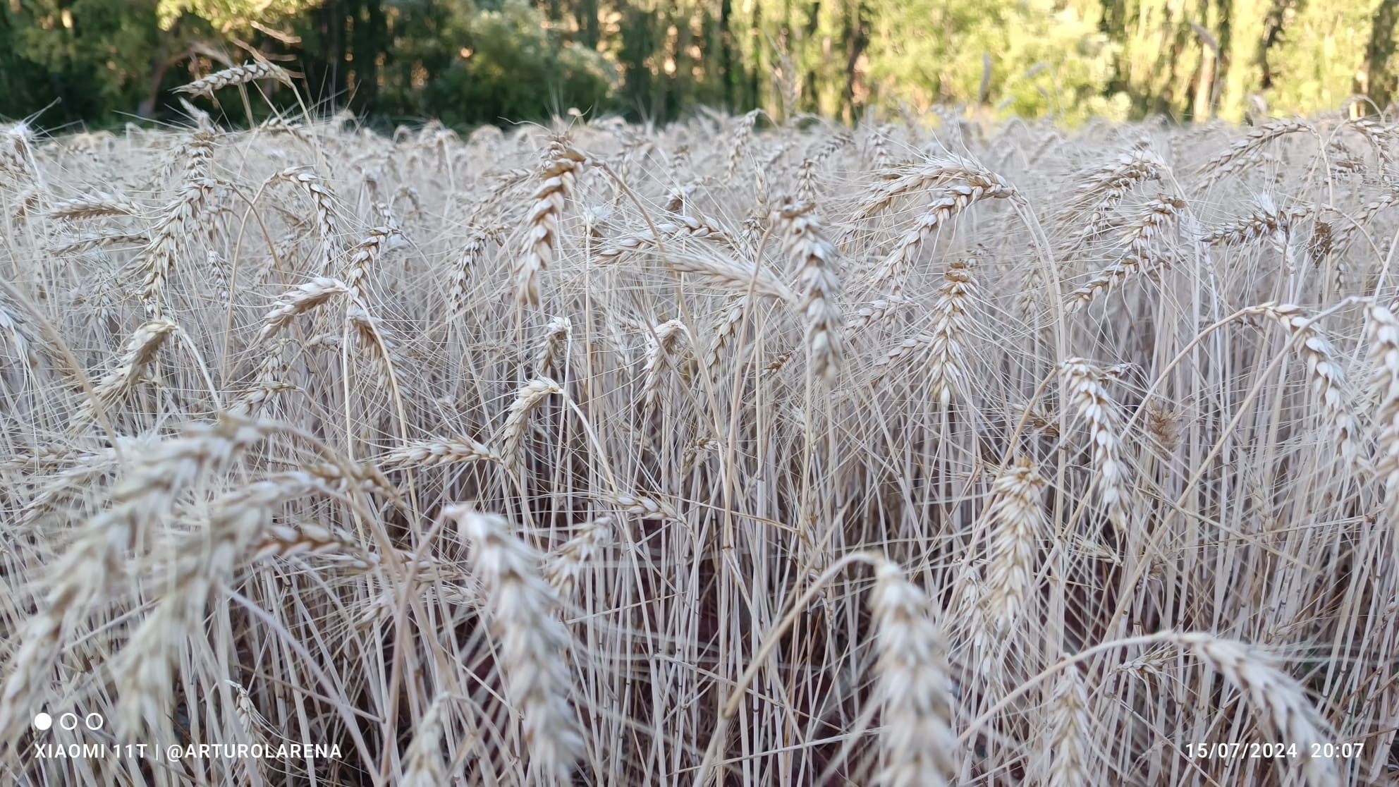 Spain will enter an ecological deficit on May 23, according to the Global Footprint Network.