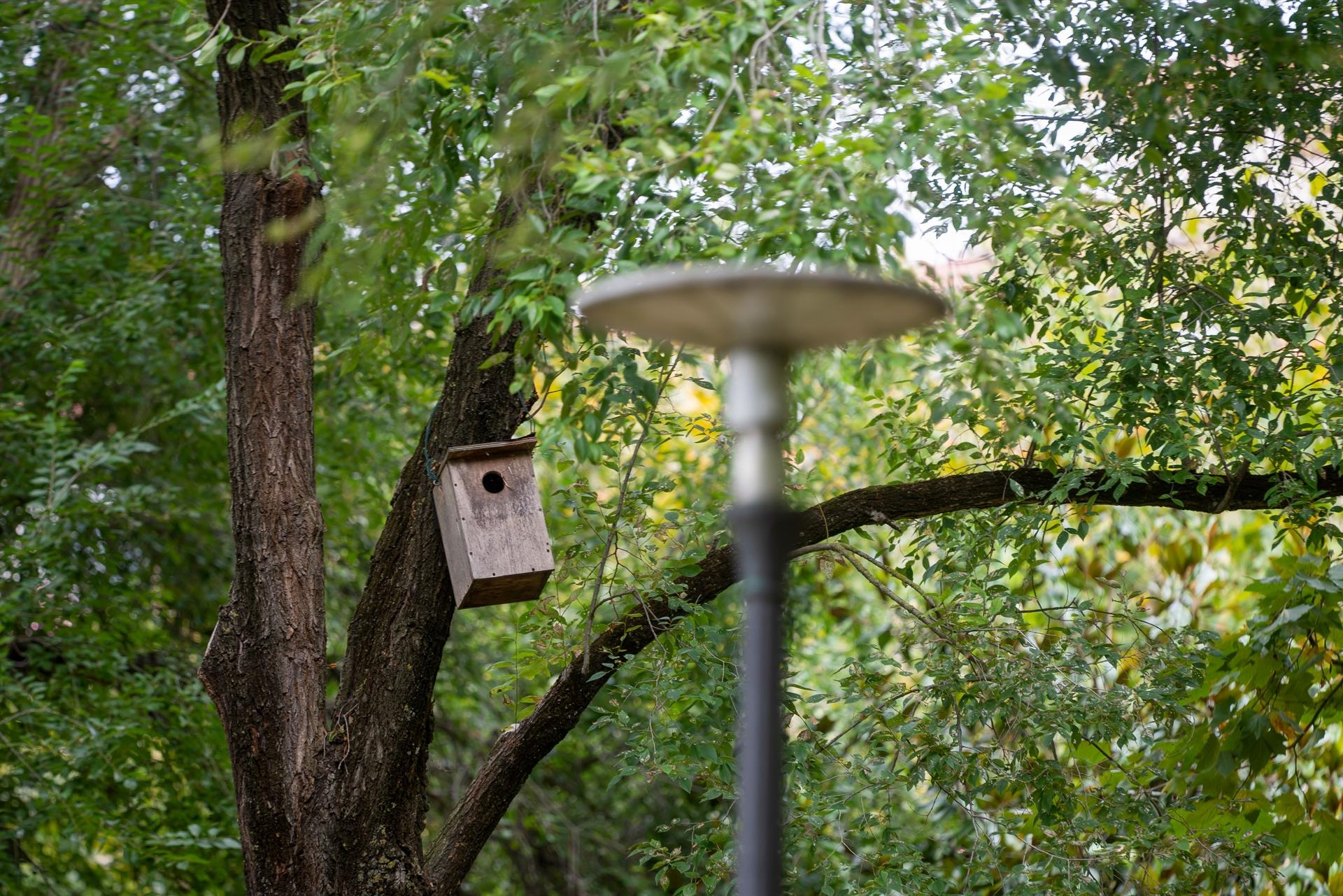 Cities: Future Biodiversity Refuges?