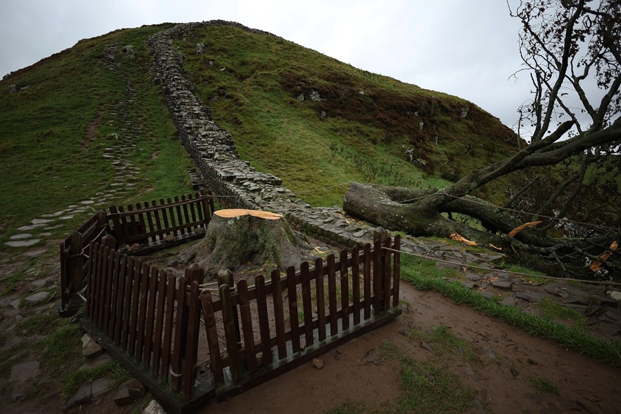 Two men found guilty of cutting down the "Robin Hood tree" in England