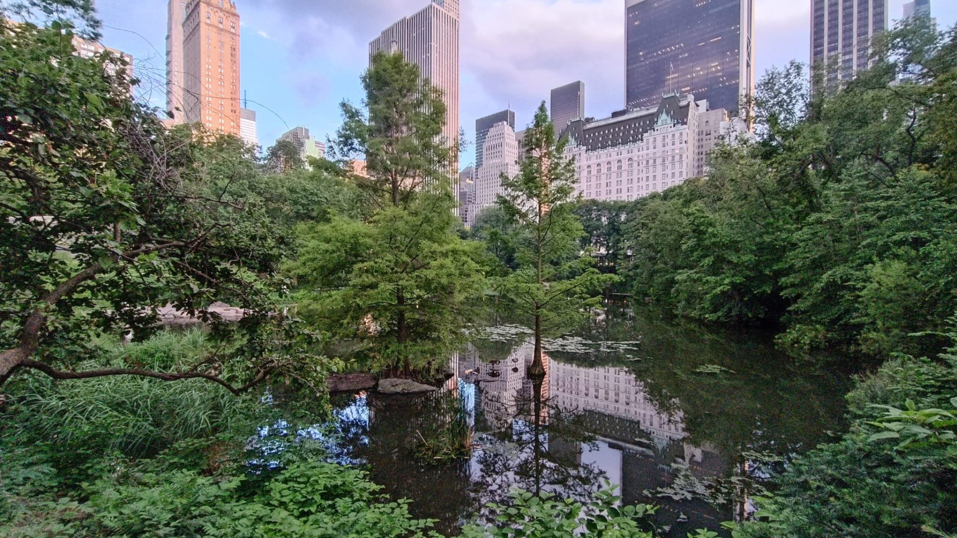 Beyond Central Park: The Green New York of Urban Gardens and Public Parks