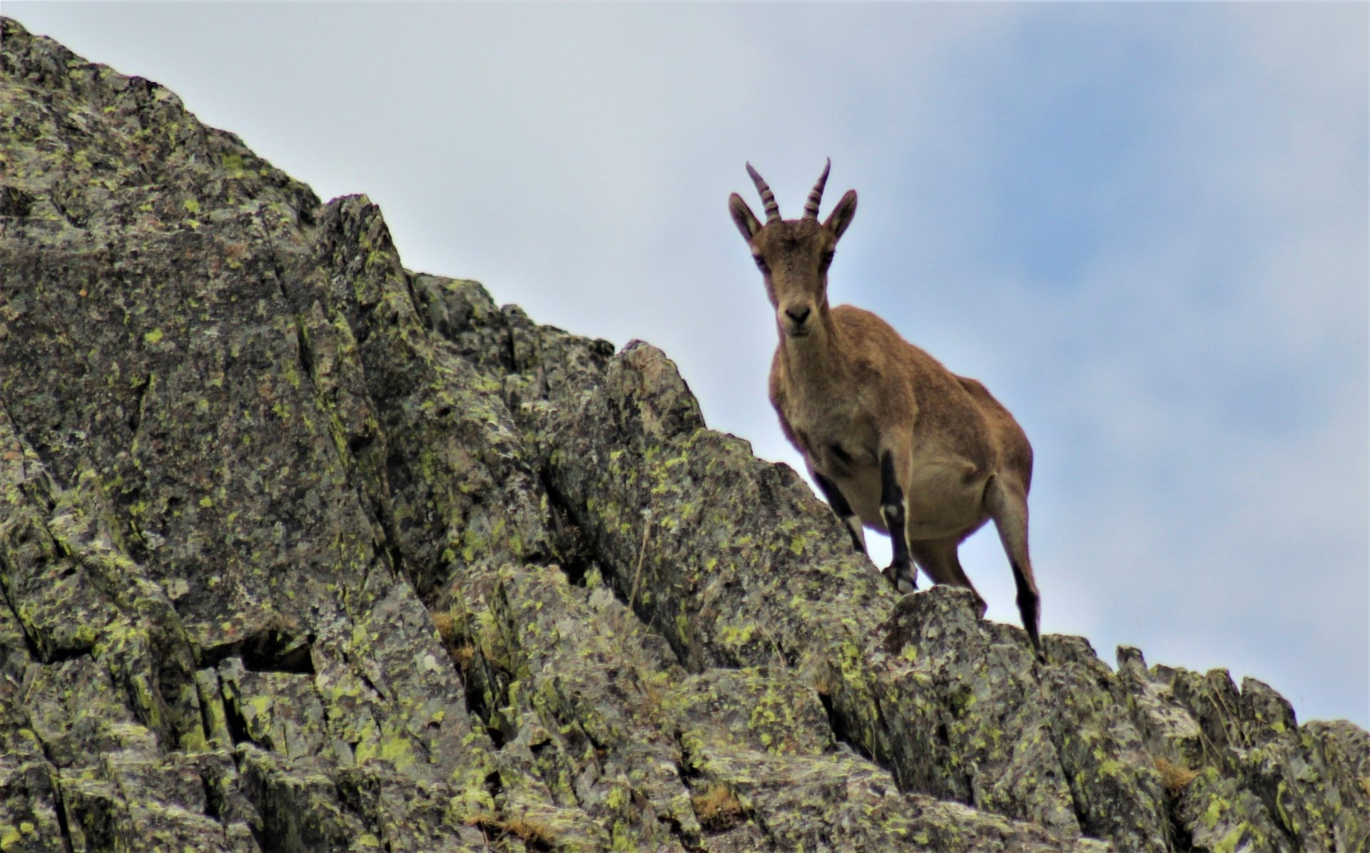 Rentabilität und Geschäft in geschützten Naturgebieten in Spanien. Von Arturo Crosby