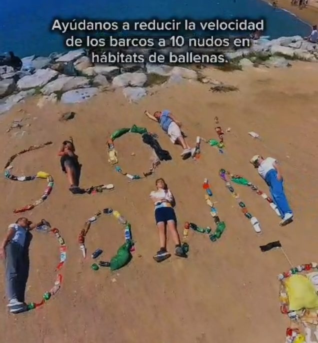 Barcelona erhebt seine Stimme für die Wale im Mittelmeer mit Kunst zum Schutz des Meeres
