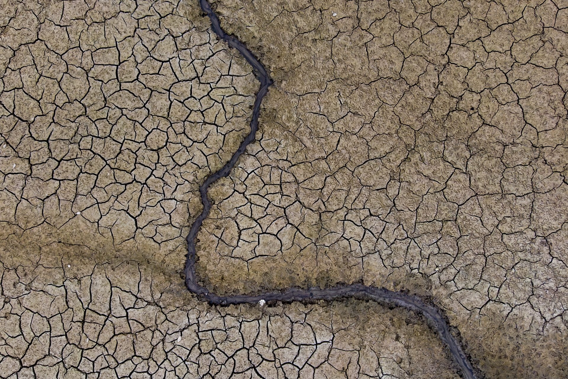 El planeta se seca: la desertificación y la sequía no son fenómenos distantes