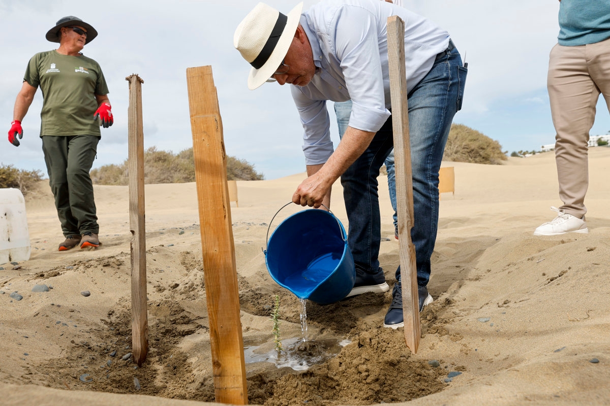 Maspalomas Kumullarının restorasyonu, Cape Verde gibi ülkeler için bir örnek
