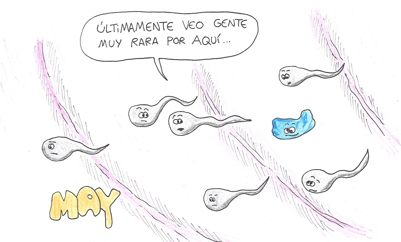 Microplásticos até em..., os mais delicados. Por (*) Maio