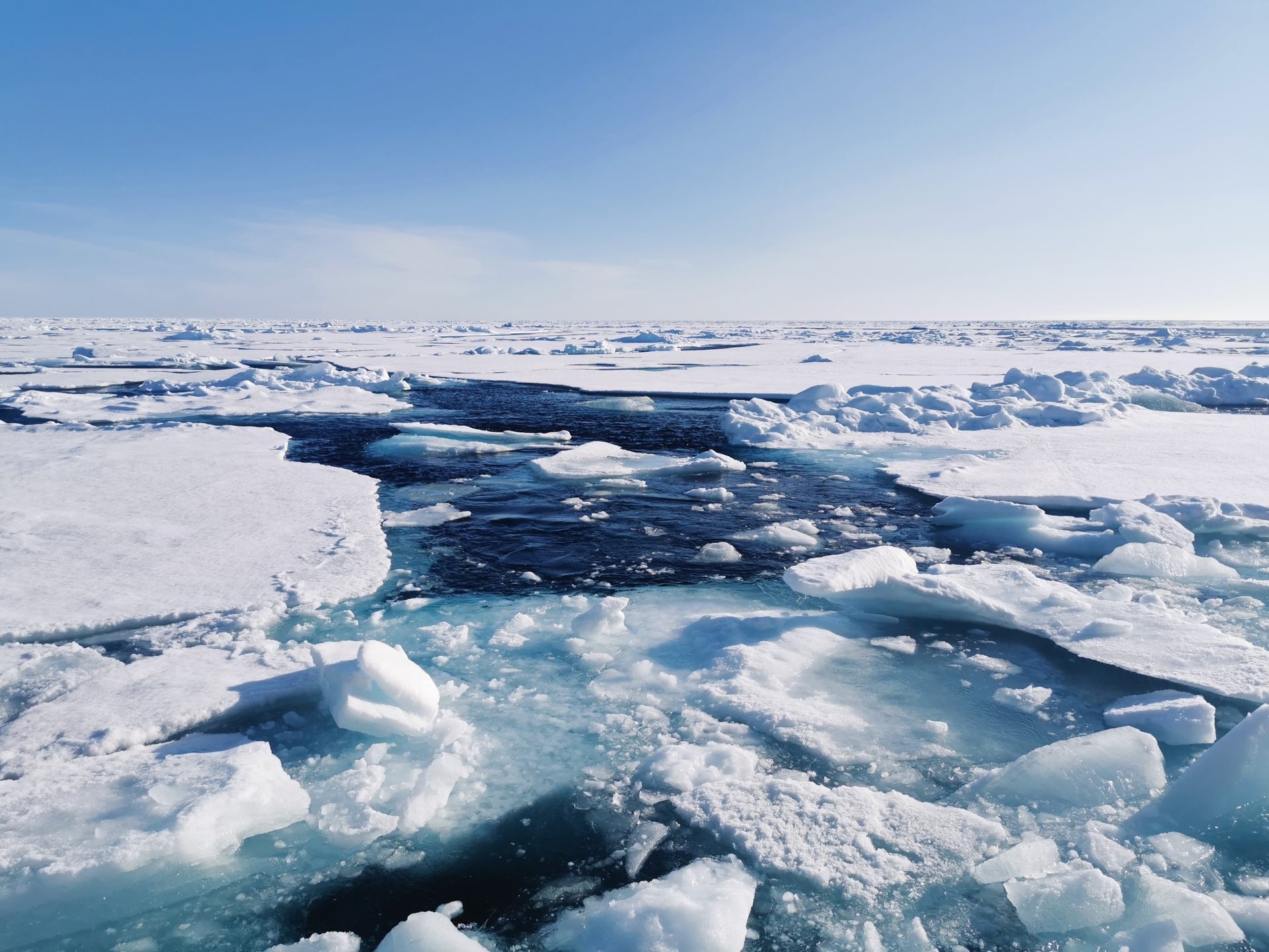 The Arctic Ocean remained open to life during the Ice Ages