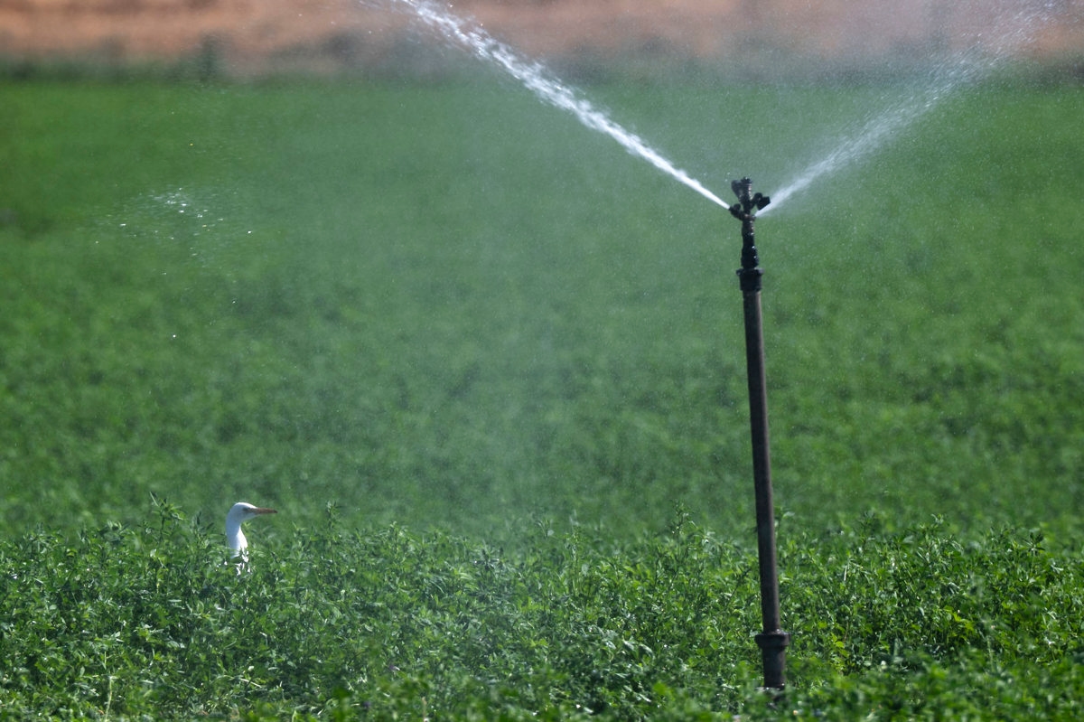Die Wassermassen des Oberen Guadiana nehmen trotz der Frühlingsregenfälle weiter ab.