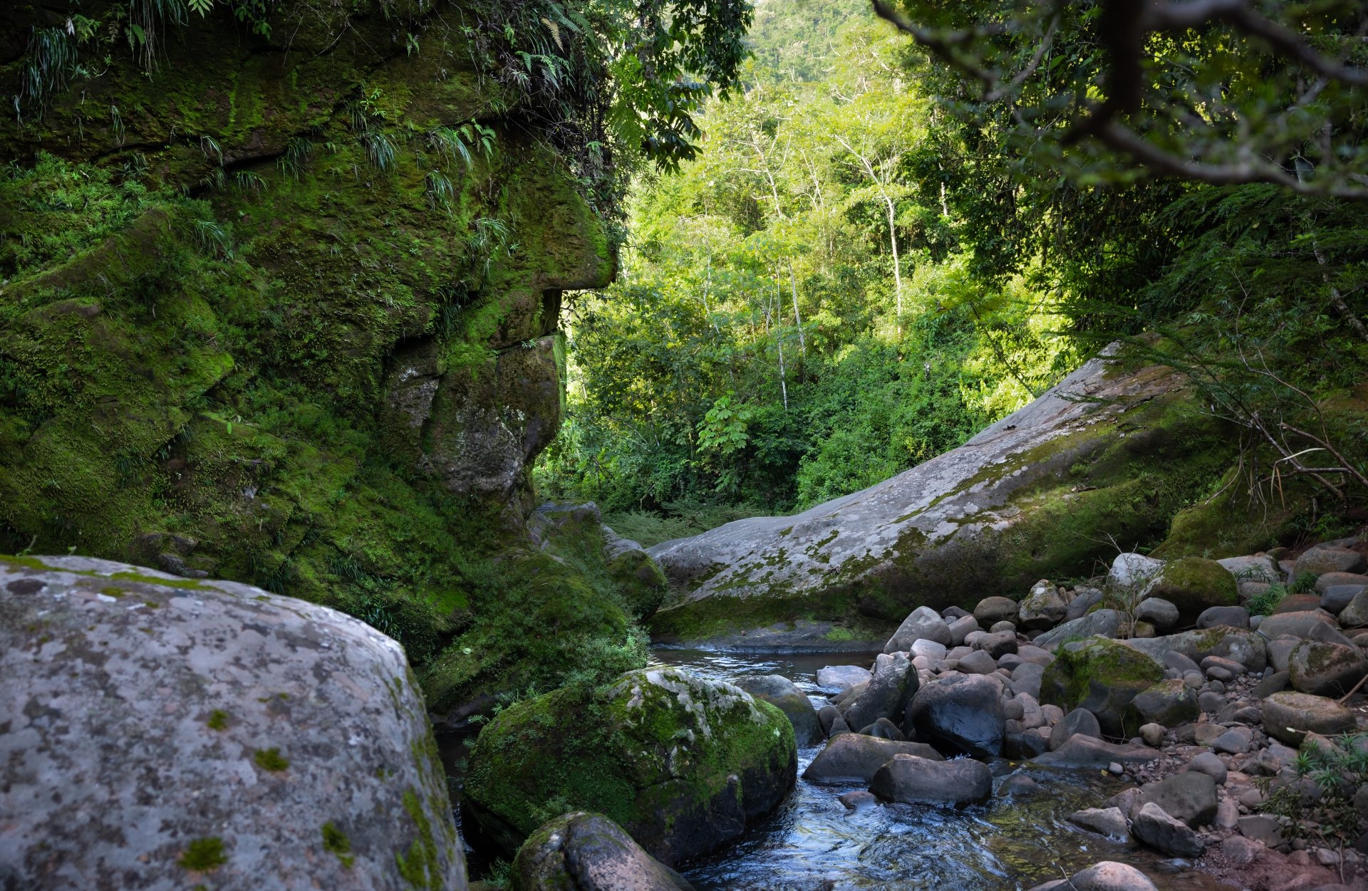 Una réplica digital permite un viaje virtual a un lugar sagrado de la Amazonía