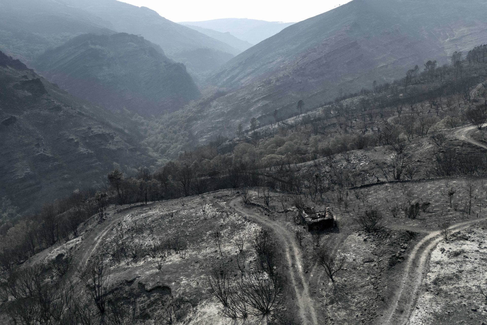 Aemet warnt vor einer sehr hohen bzw. extremen Brandgefahr im Norden und Osten der Halbinsel.