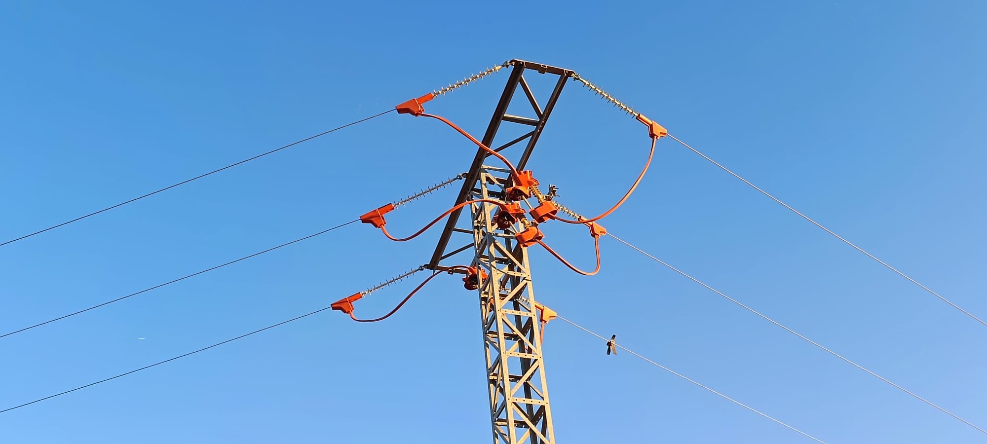 Transizione energetica: riorientamento geopolitico ed economico. Di Pablo Arjona Paz, Country Risk Analyst presso Cesce
