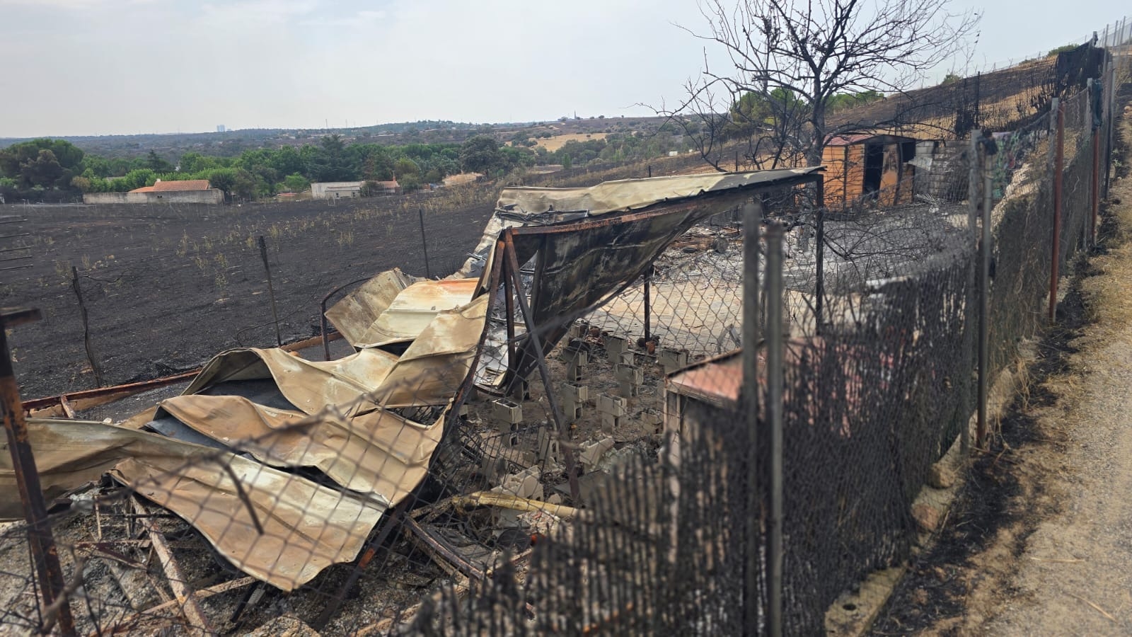 Organisationen fordern ein Tierrettungsprotokoll, nachdem beim Brand in Tres Cantos Hunderte Menschen ums Leben kamen.