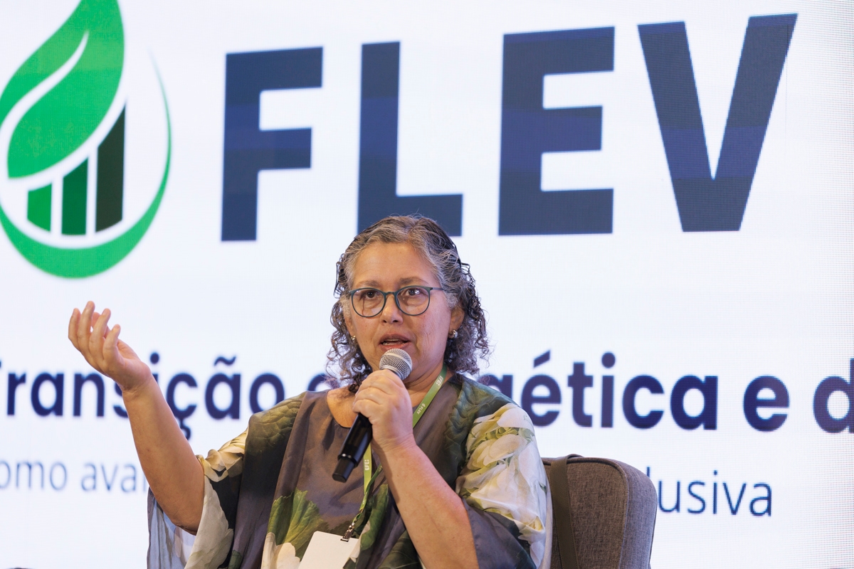 NGOs and companies expect Brazil to double its commitment to decarbonization at COP30.