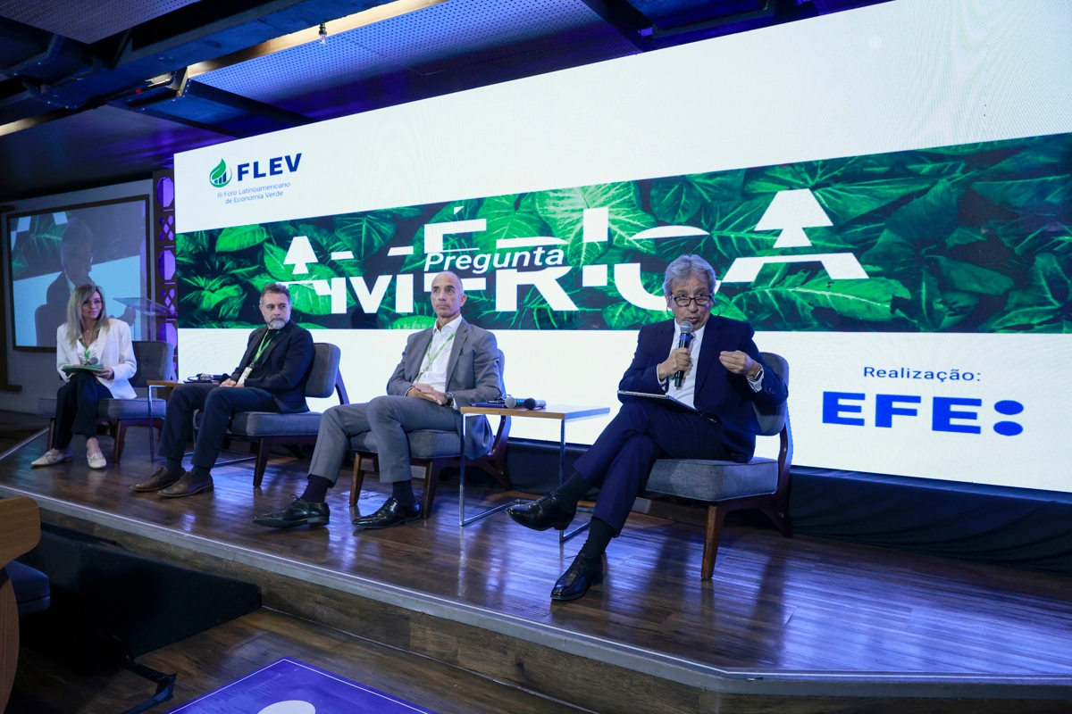 Эксперты FLEV выступают за усиление давления на рынок с целью ускорения мер по борьбе с изменением климата в Латинской Америке.