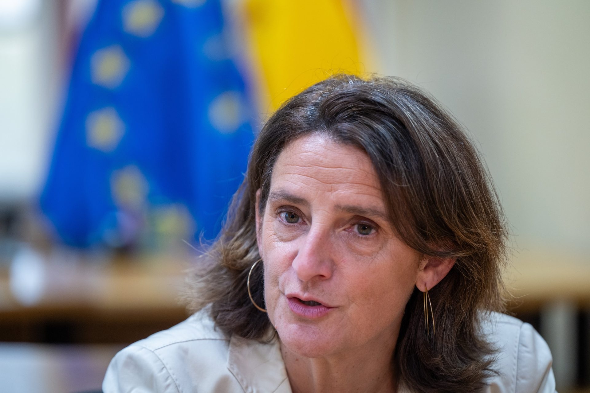 The EU and the AU want to strengthen their relations and increase climate investments.