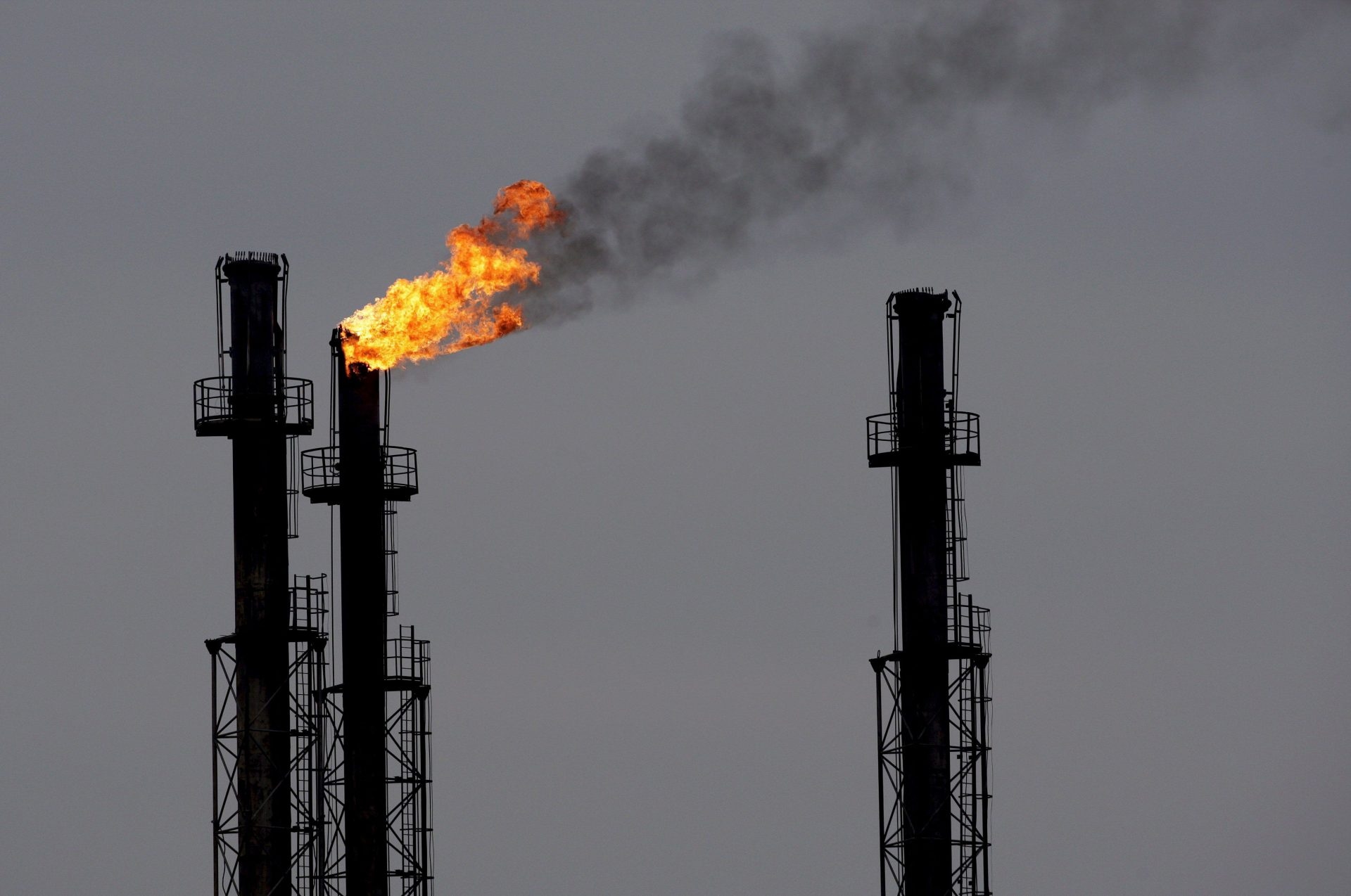 El calentamiento global acelerará las emisiones de CO2 de los suelos tropicales