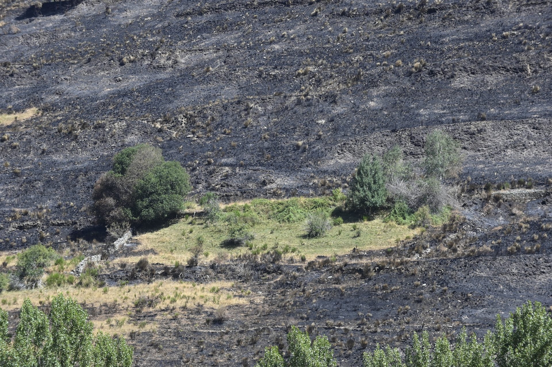 September begins with improvements in the forest fire situation.