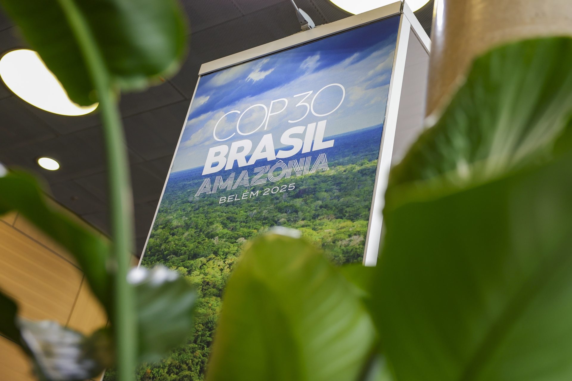 Cos'è la COP? Tutte le chiavi per comprendere il vertice brasiliano sul clima