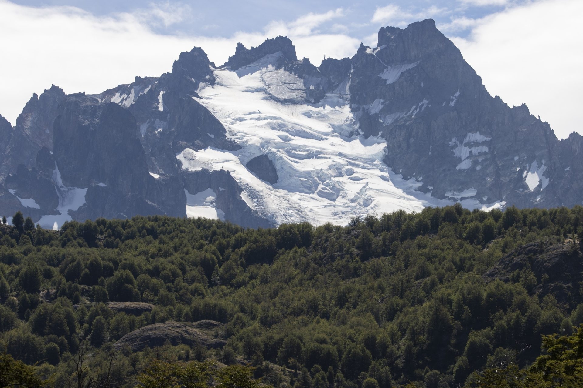 IUCN przyznaje cztery obszary chronione w Chile, Brazylii i Kolumbii