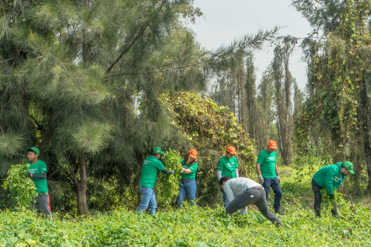 I volontari uniscono le forze per preservare l'ambiente dell'emblematico Xochimilco