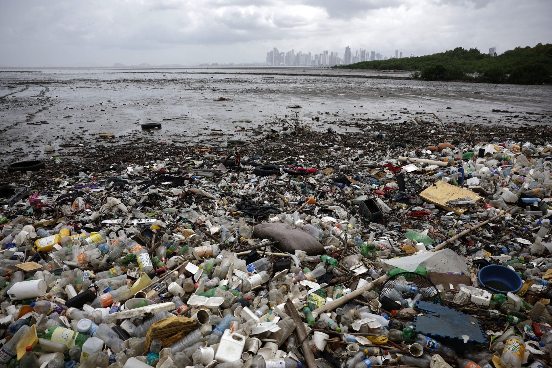 WWF calls for a strong agreement against plastics one week before negotiations begin