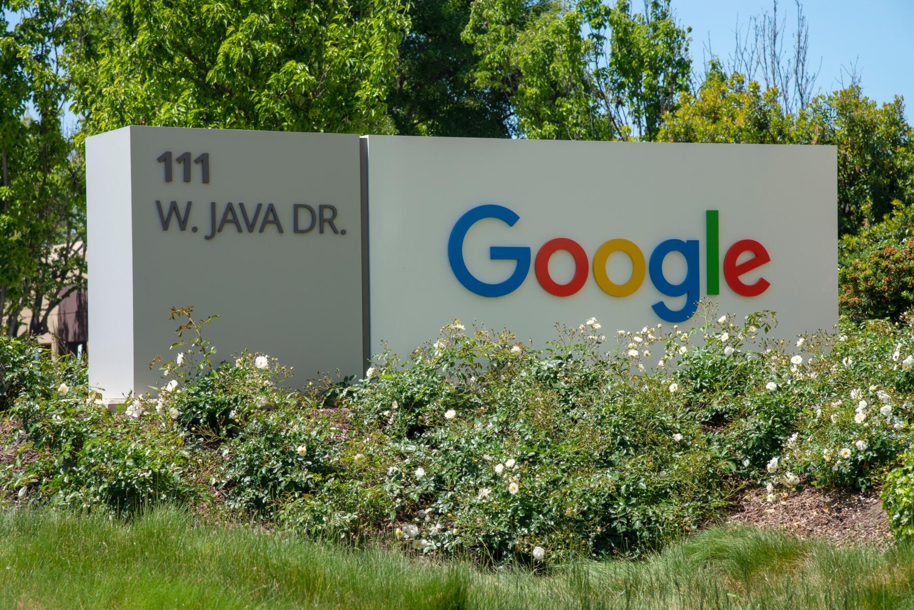 Google: + 51% le emissioni di CO2 dal 2019 a causa dell’intelligenza artificiale