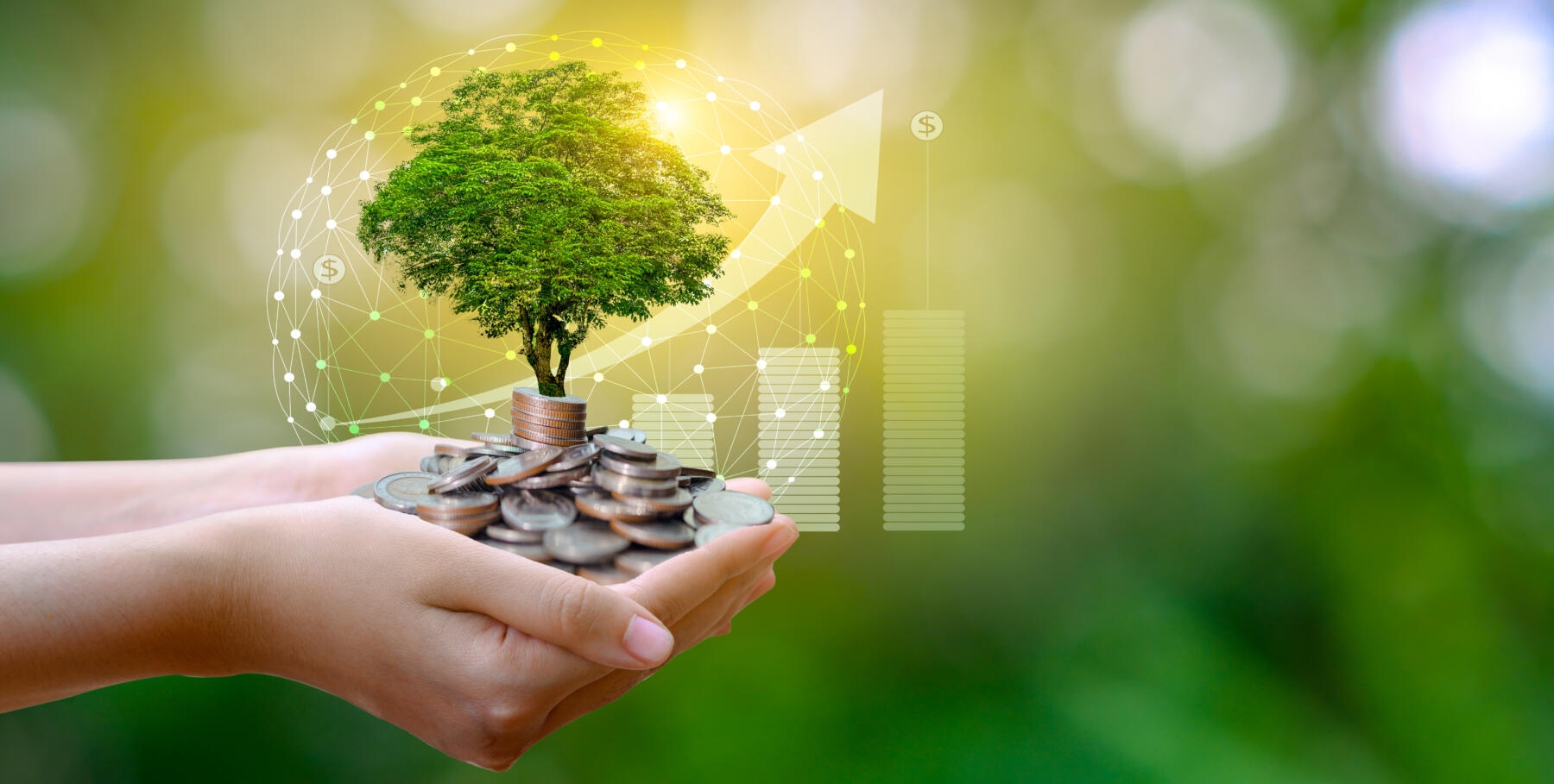 Die Midlife-Crisis des Sustainable Finance: Was kommt nach dem Boom?