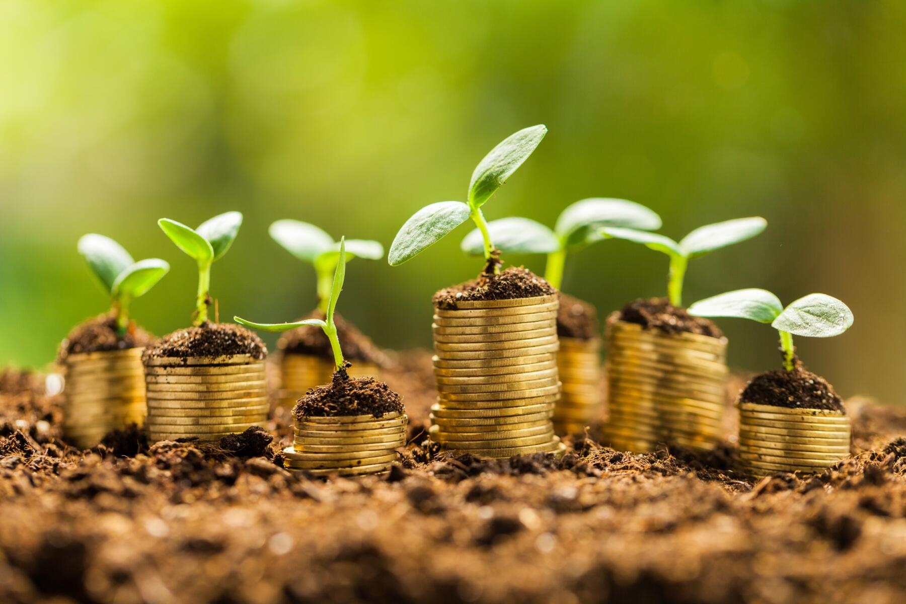 Etica Sgr: ESG Fund Names Already Compliant with ESMA Guidelines