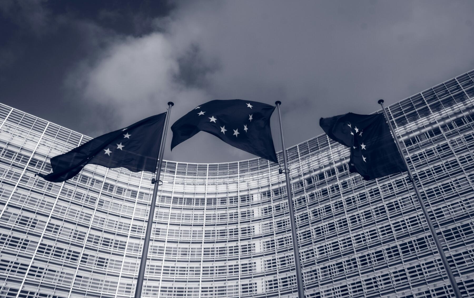 Omnibus: Technische Experten sind nicht an Entscheidungen über die Zukunft der EU-Nachhaltigkeitsrichtlinien beteiligt