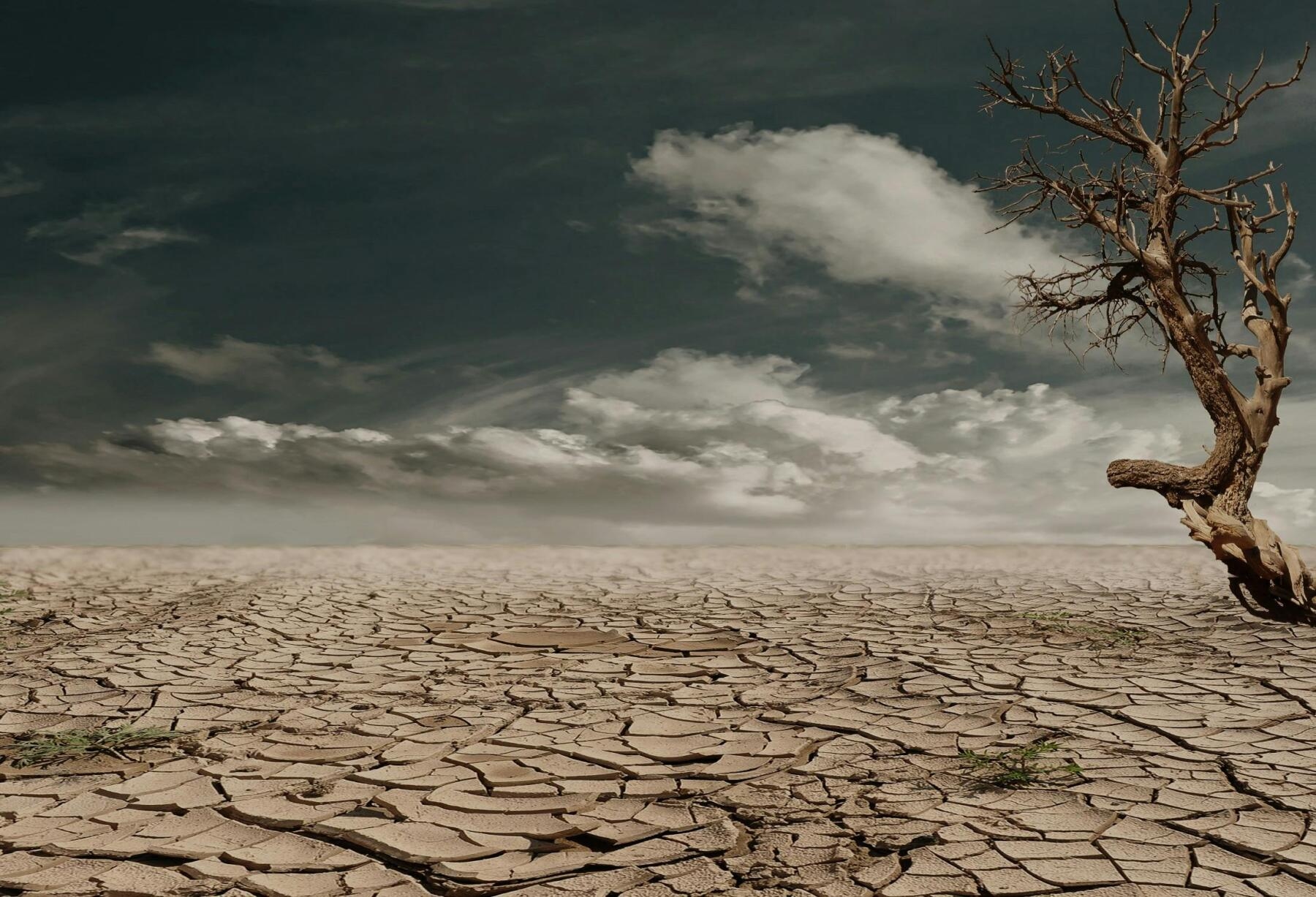 Para el 53% de las empresas italianas, el clima no es un riesgo
