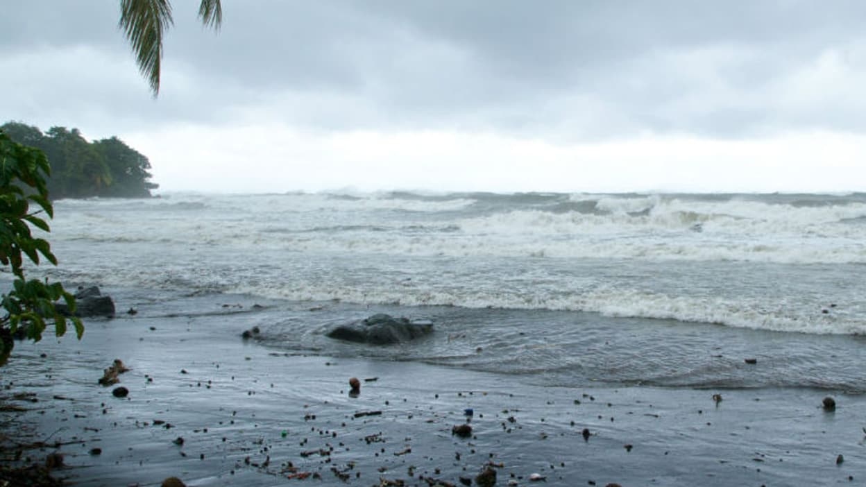 Cos'è l'acidificazione degli oceani?