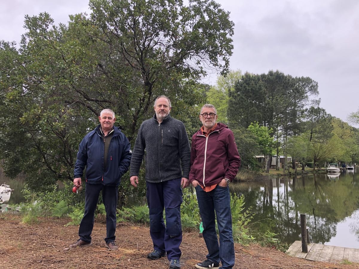 “Strong odor,” “dirty water”: an association denounces pollution in the Cazaux-Sanguinet pond
