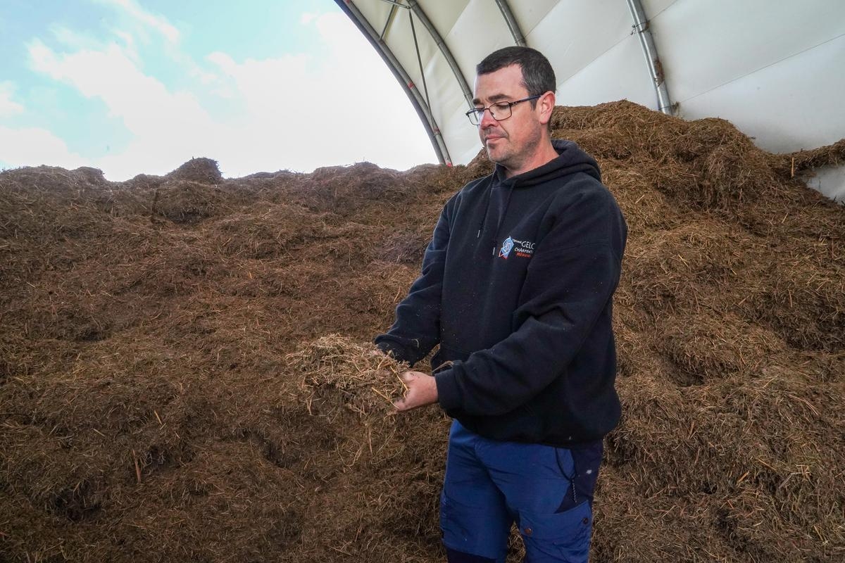 Agriculture. What if ferns replaced manure? A Basque artisan's winning bet