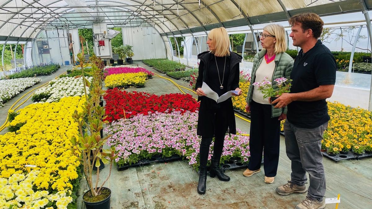 «Это часть идентичности города»: за кулисами цветочных выставок в Бержераке