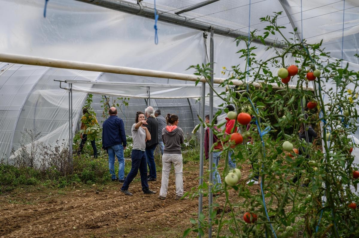 La Rochelle Agglo: un escaparate de 48 horas para la agricultura urbana en toda su diversidad