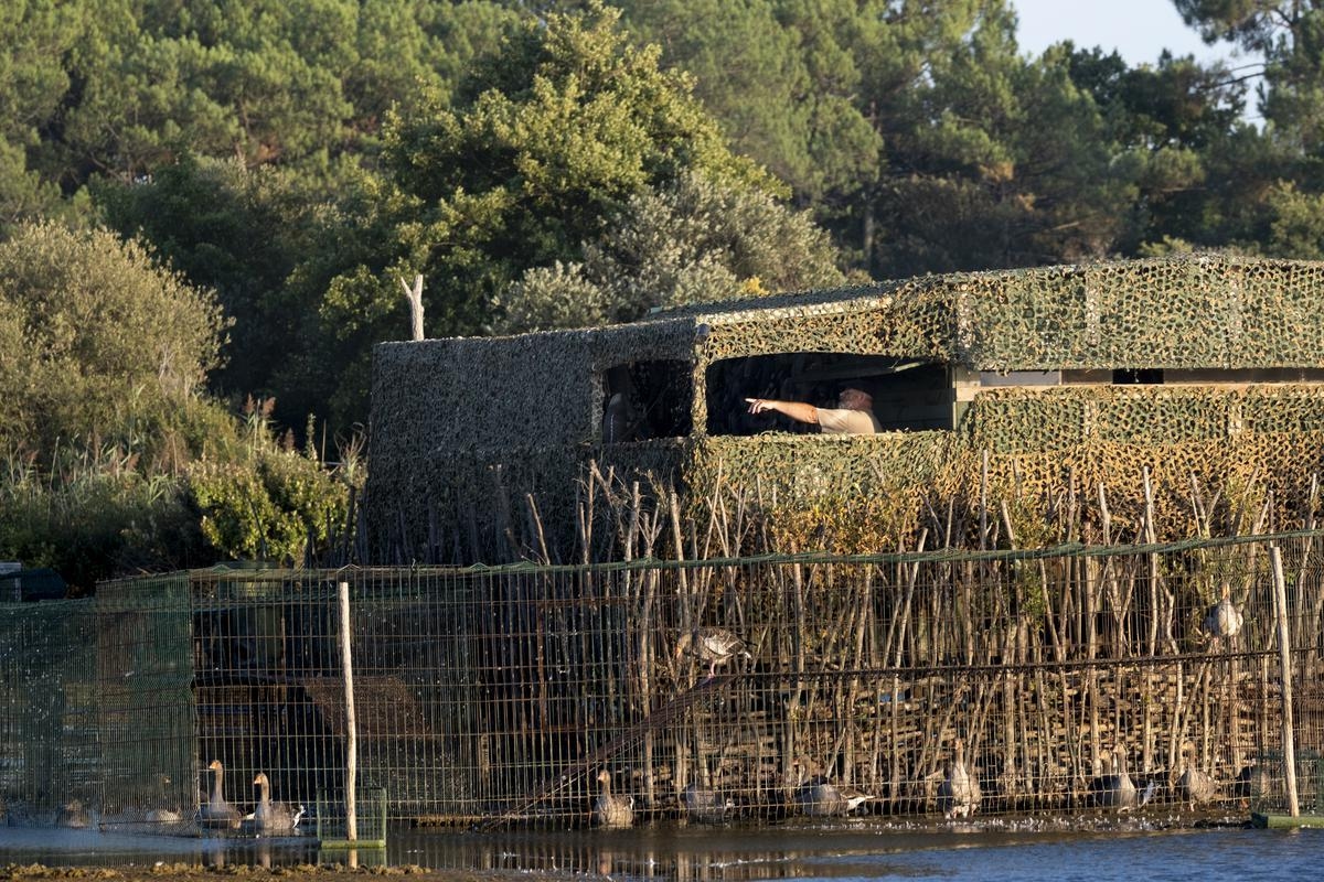 Environment: Hunters win battle against aquatic environment protection association