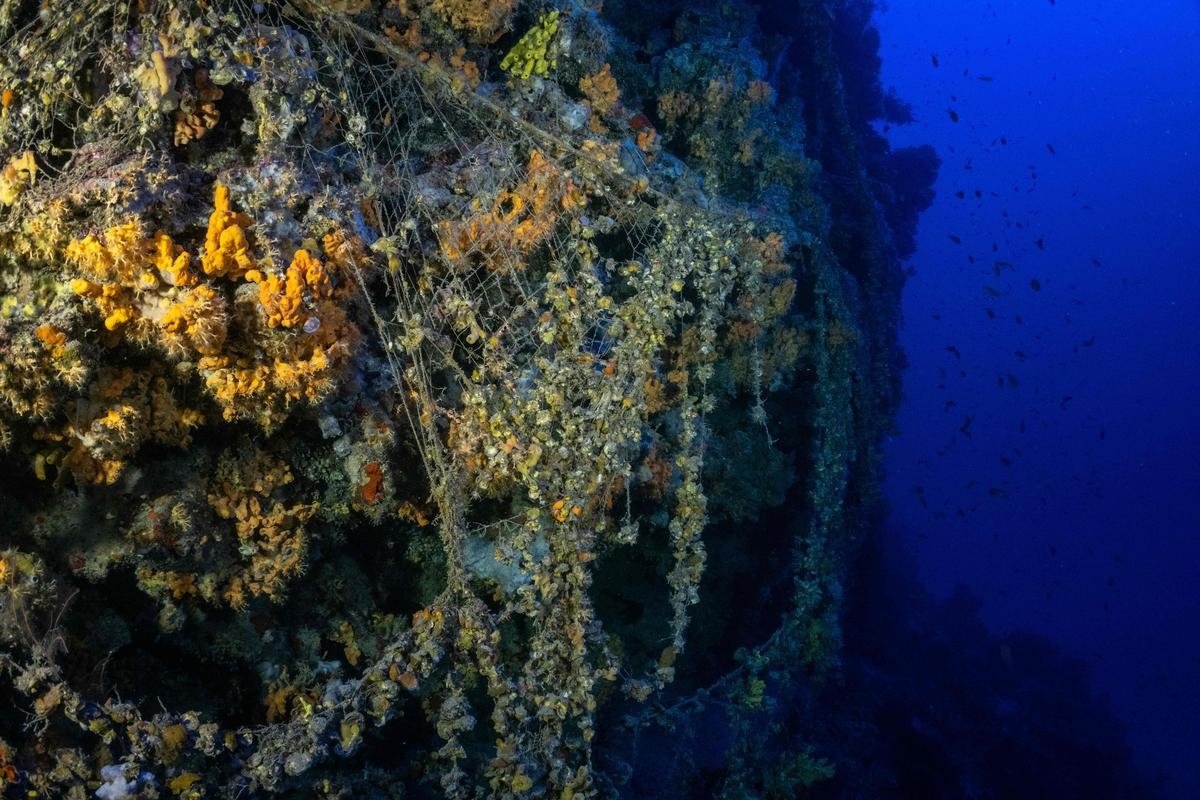 A degradação dos oceanos está acelerando, alerta novo barômetro Starfish