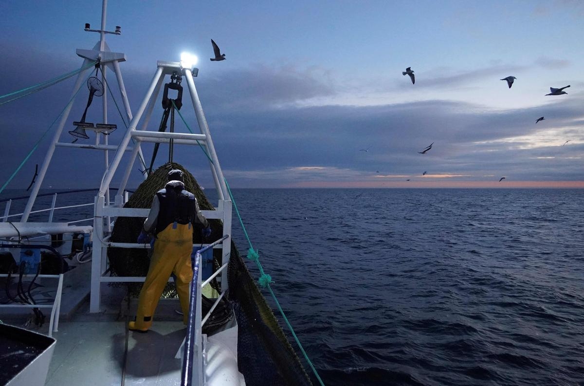 Pesca: ONG Bloom é processada após publicação de lista de embarcações "destrutivas"