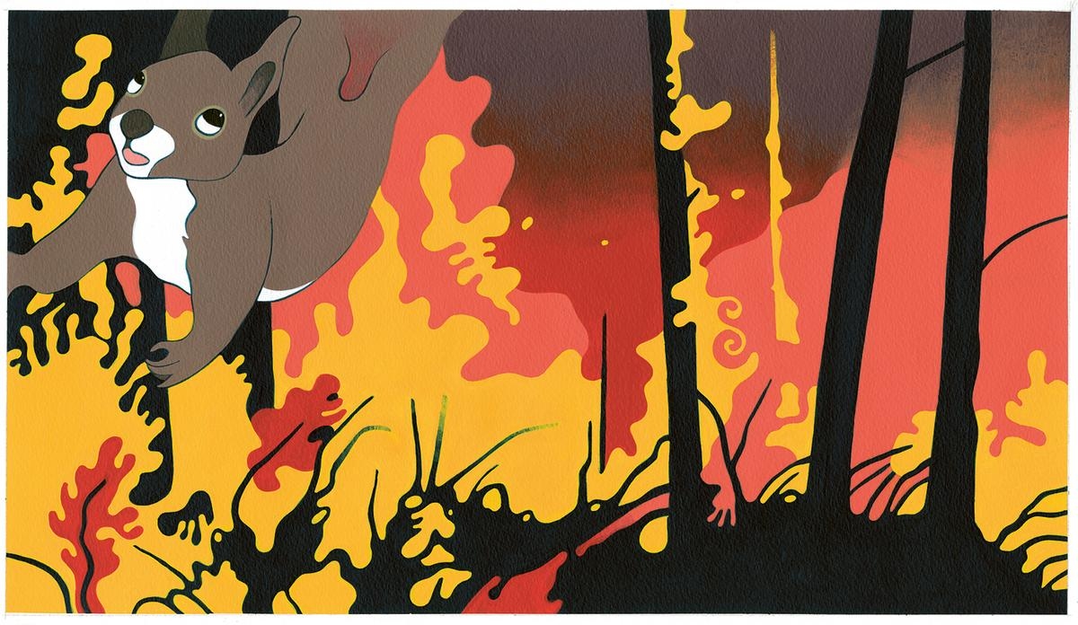 Gironde: the fires of summer 2022 through the eyes of a squirrel, in the children's album "Fire!"