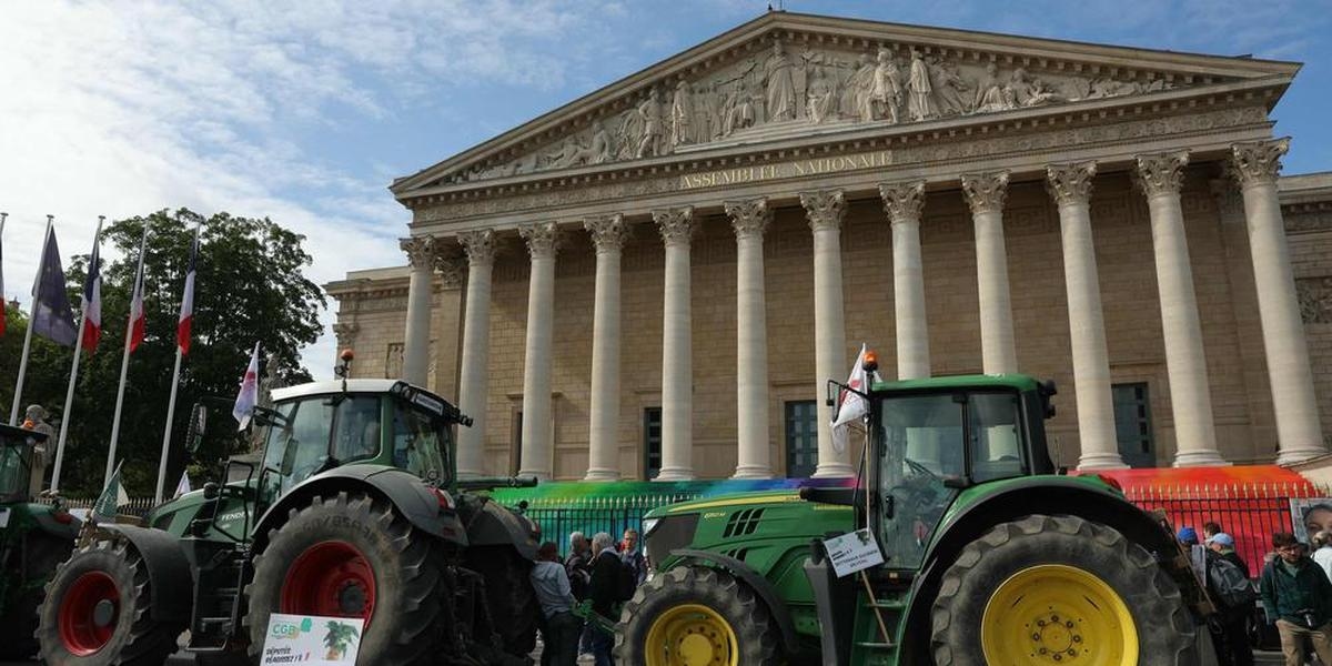 Agriculture: Duplomb Law on the verge of final adoption, a call for a rally in front of the Assembly