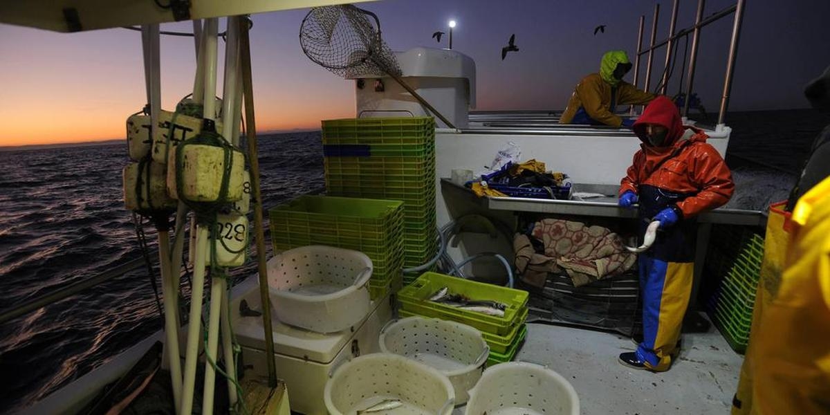 Pesca: La Asociación Bloom demanda al Estado para intentar prohibir la pesca de arrastre de fondo en Francia