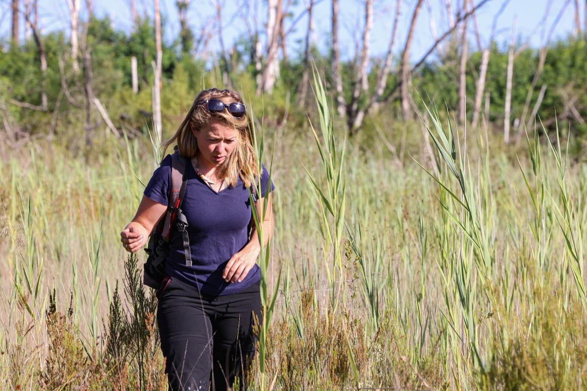 “Este lugar es una reliquia, un museo al aire libre”: en Gironda, el renacimiento de la naturaleza tras los incendios de 2022
