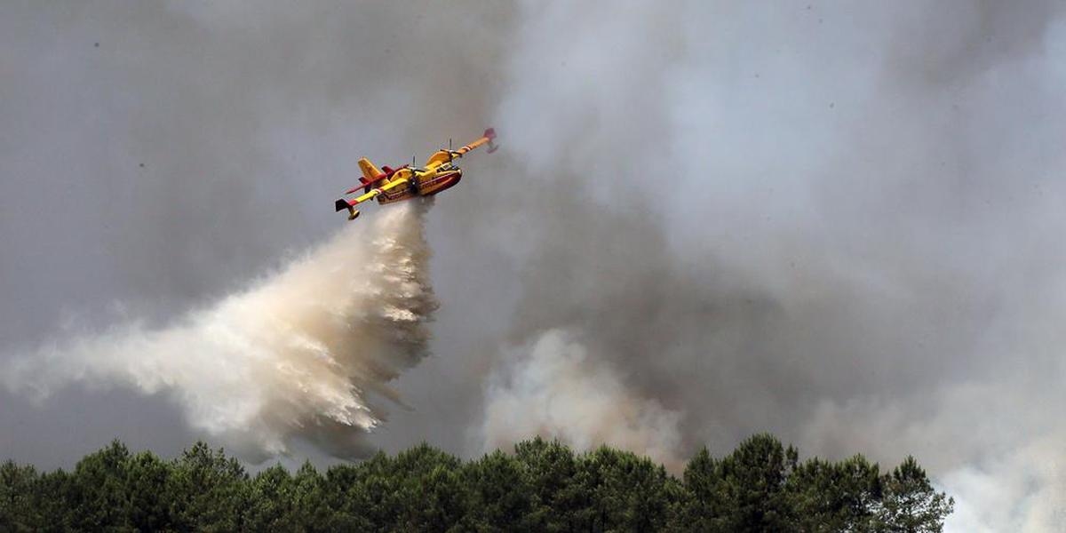 “More adapted to needs”: against fires, an aging air fleet that is slow to be renewed