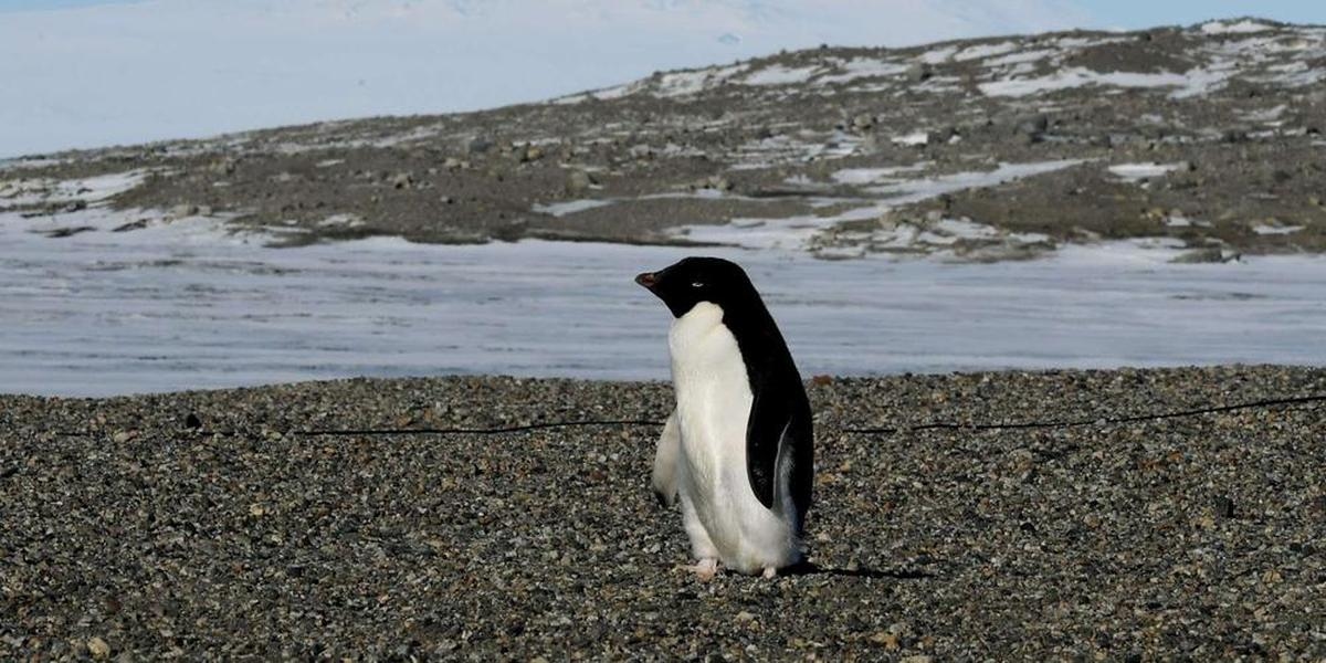 Global warming: what are the five key questions the International Court of Justice must rule on?