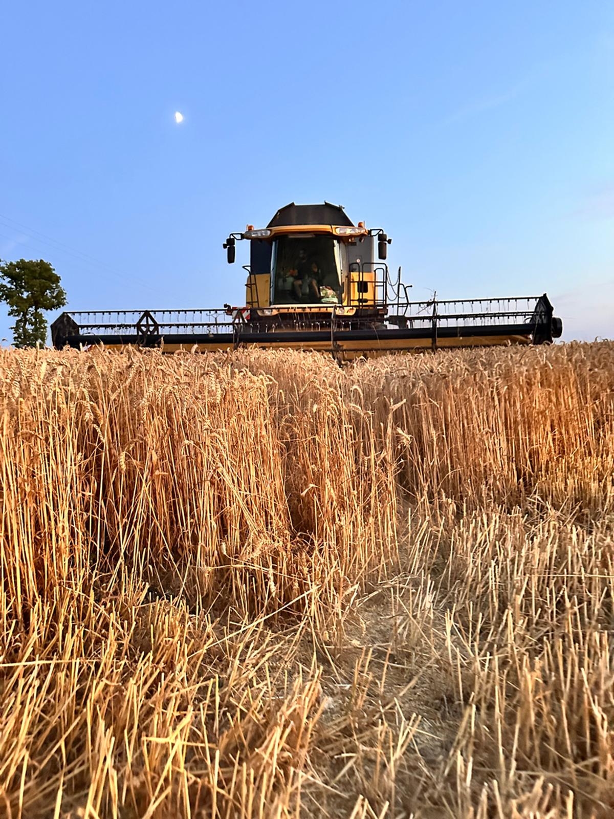"Acho que vai ser catastrófico": agricultores de Dordonha ainda em má situação