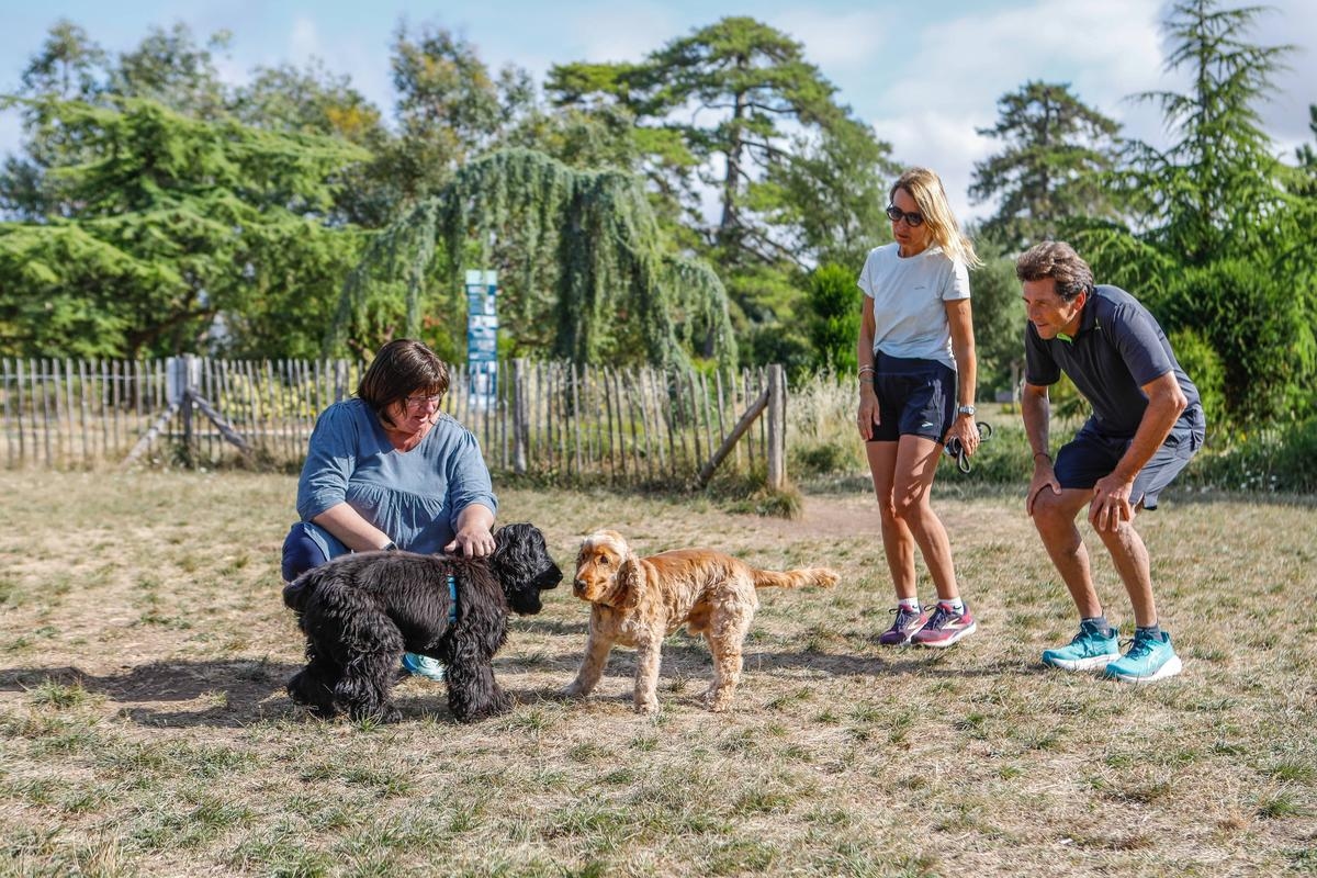 La Rochelle: wolne przestrzenie dla psów, czasami szybko niszczejące