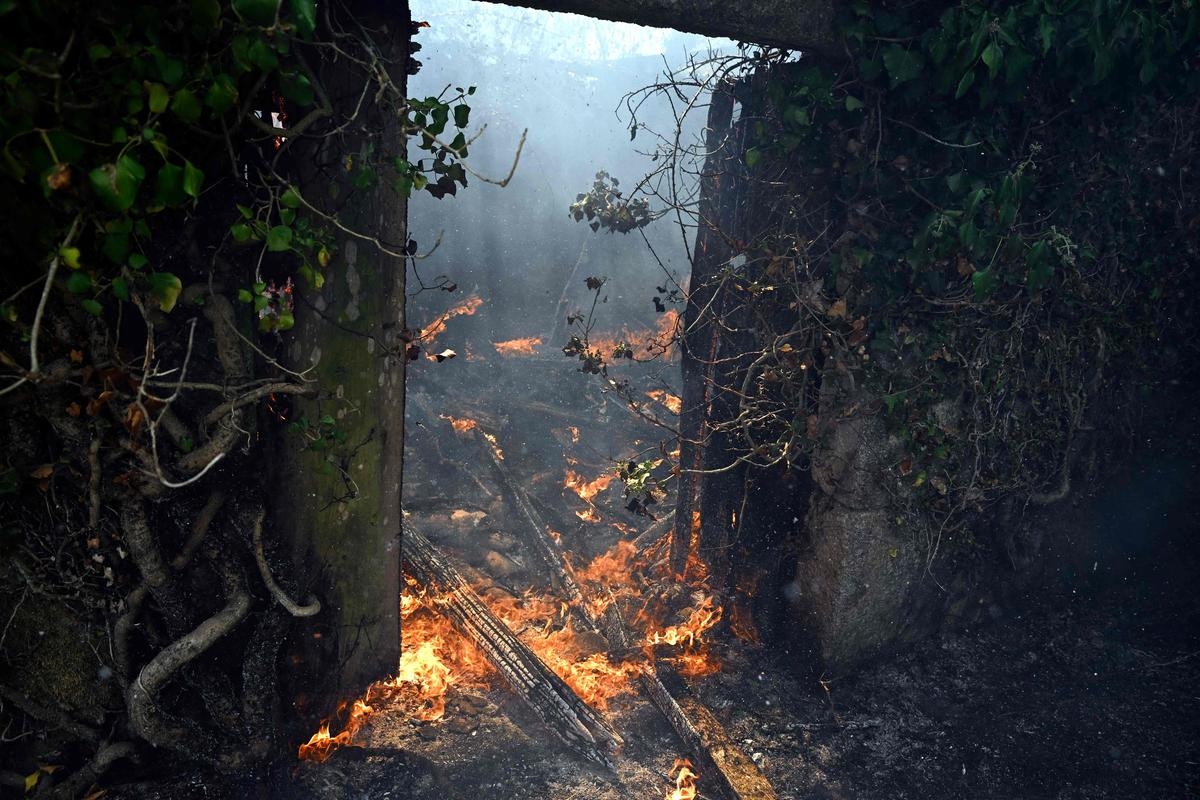 Fires in Spain: 30,000 hectares ravaged in 24 hours