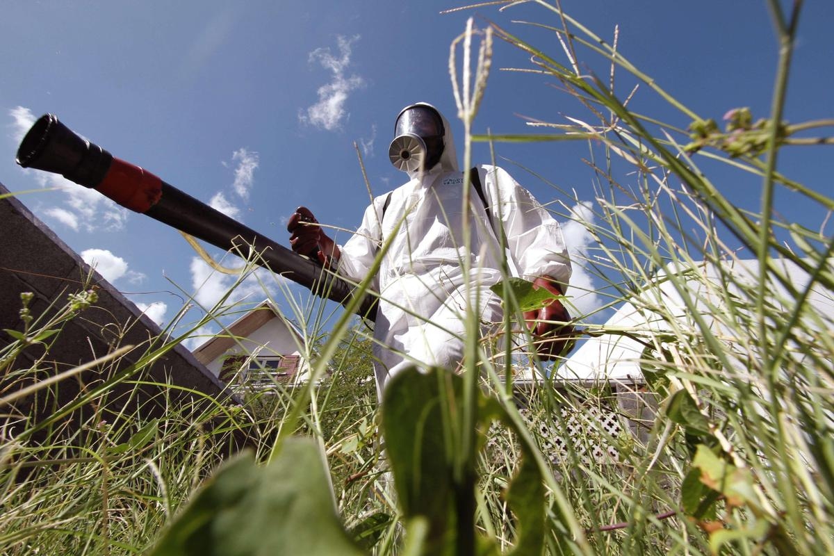 Chikungunya w Bergerac: dlaczego w Twojej okolicy lub mieście nie ma kontroli nad komarami