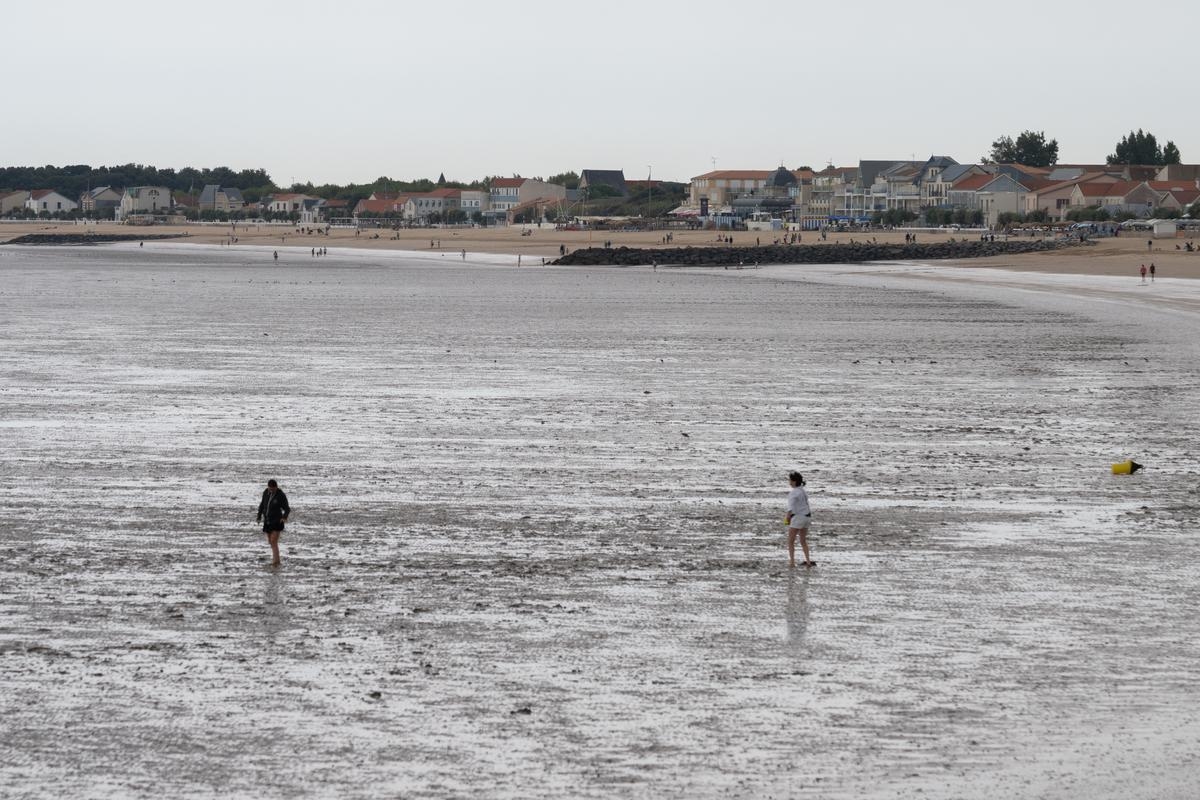 Litoral de Charente Marítimo: ¿por qué todas estas playas están cubiertas de barro?